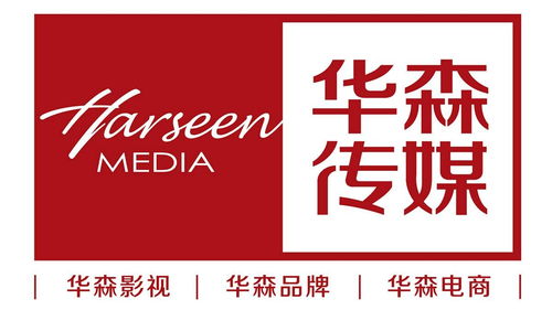 簡視傳媒 山東華森視覺文化傳媒的視覺敘事藝術